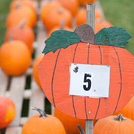 Pumpkins for Sale II by Clarence Holmes