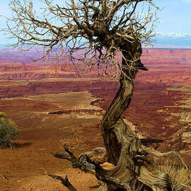 Rainbow Canyon by Adam Jewell