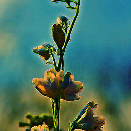 Reaching Blooms by Bill and Linda Tiepelman
