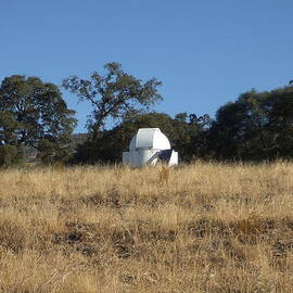 Ready to Observe  by Richard Reeve