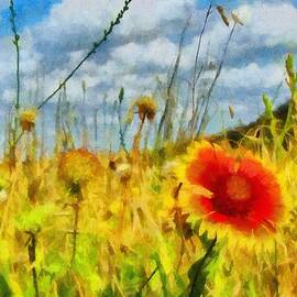 Red Flower in the Field by Jeffrey Kolker