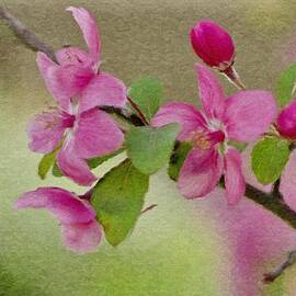 Redbud Branch by Jeffrey Kolker