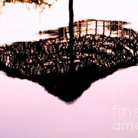 Reflection Of A Parasol In The Water by Sami Sarkis Photography