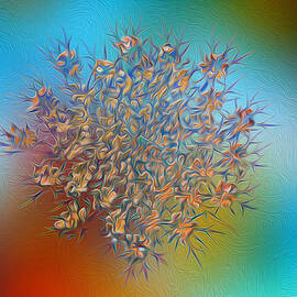 Reticulated Glory by Bill and Linda Tiepelman