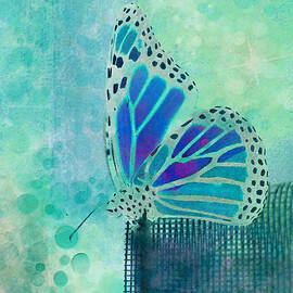 Reve de Papillon - s02b by Variance Collections