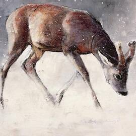 Roe Buck - Winter by Mark Adlington 