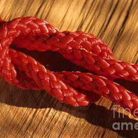 Rope with reef knot on walnut tree by Sami Sarkis Photography