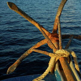 Rusty anchor on back of boat by Sami Sarkis Photography