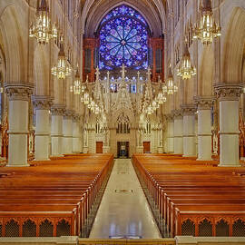 Sacred Heart Cathedral Basilica by Susan Candelario