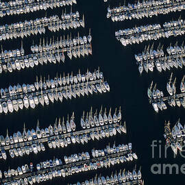 Sailboats at wharf by Sami Sarkis Photography