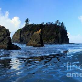 Sea Stacks At Ruby by Adam Jewell