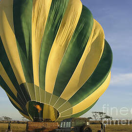Serengeti Hot Air Baloon Inflating by Darcy Michaelchuk