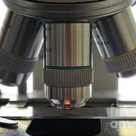 Slide under laboratory microscope by Sami Sarkis Photography