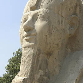 Small Sphinx by Darcy Michaelchuk