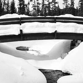 Snow Bridge in Canadian Rockies by Darcy Michaelchuk