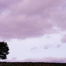 Solitude - Denbigh Moors by Georgia Clare