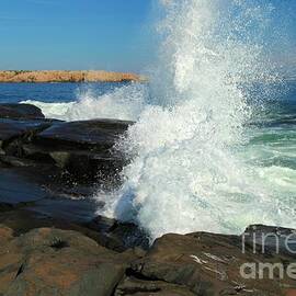 SPLASH by Adam Jewell