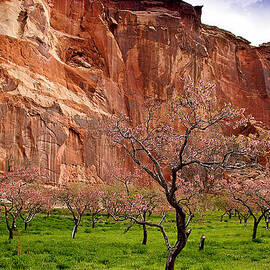 Spring in Utah by Jean Noren