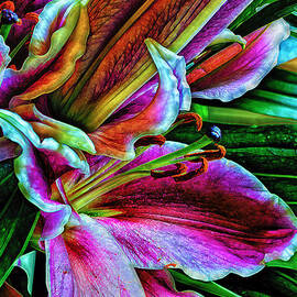 Stargazer Lilies Up Close and Personal by Bill and Linda Tiepelman