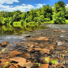 Sunny Days At The Youghiogheny  by Adam Jewell