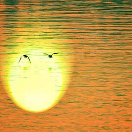 Sunset Flight by Bill and Linda Tiepelman