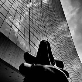 The Bull Never Sleeps by Louis Dallara