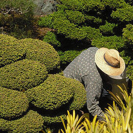 The Gardener by Richard Reeve