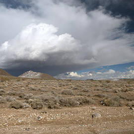 The Gathering  by Joe Schofield