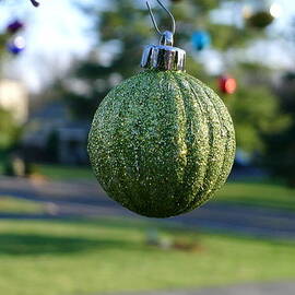 The Green One by Richard Reeve