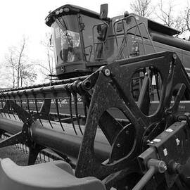 The Harvester by Richard Reeve