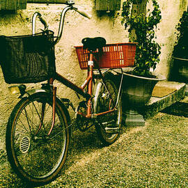 The Quiet Life by Georgia Clare