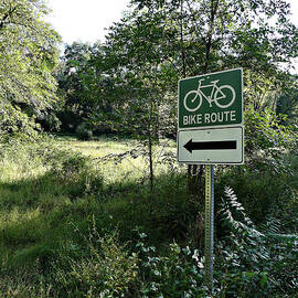 The Wild Side of Biking by Richard Reeve