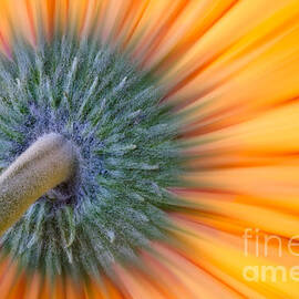 Their Is Always Two Sides by Susan Candelario