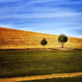 Trees on Rolling Plains by Bill and Linda Tiepelman
