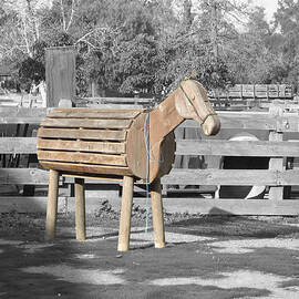 Trojan Pony - Dreaming of Troy by Richard Reeve