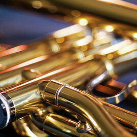 Trumpet by Sami Sarkis Photography