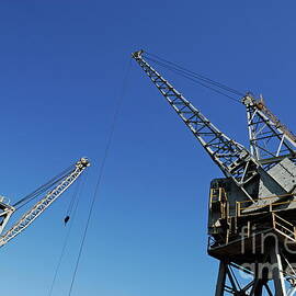 Two cranes at harbor by Sami Sarkis Photography