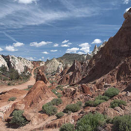 Utah Backcountry by Joe Schofield