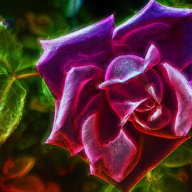 Visions From A Rose by Bill and Linda Tiepelman