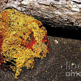 Volcanic Rock by Sami Sarkis Photography