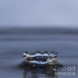 Water Drop Splash by Darcy Michaelchuk