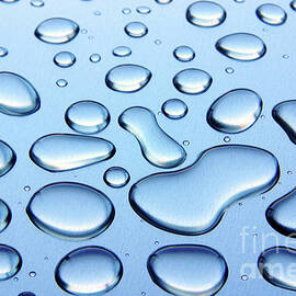 Water Drops by Carlos Caetano