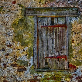 Weathered Vibrancy by Susan Candelario