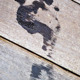 Wet footprint on wooden deck by Sami Sarkis Photography