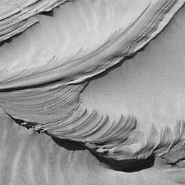 Wind Creation BW by Kelley King