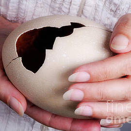 Woman holding broken ostrich egg by Sami Sarkis Photography
