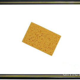 Yellow sponge inside picture frame by Sami Sarkis Photography