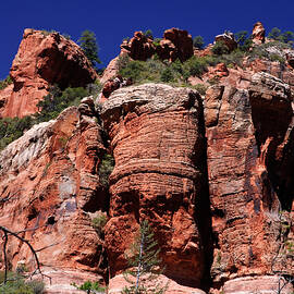  Landscape Oak Creek Canyon by Louis Dallara