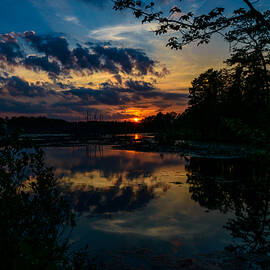 Soulful Sunset Pine Lands NJ by Louis Dallara