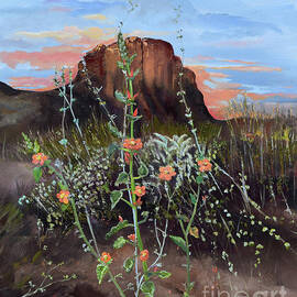 Arizona Desert Flowers-Dwarf Indian Mallow by Jan Dappen